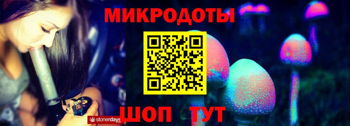 A PVP Кандалакша